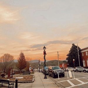 Meet your Posher, Annie